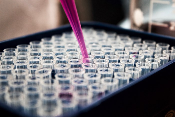 Pipette dispensing liquid into test tubes in a laboratory