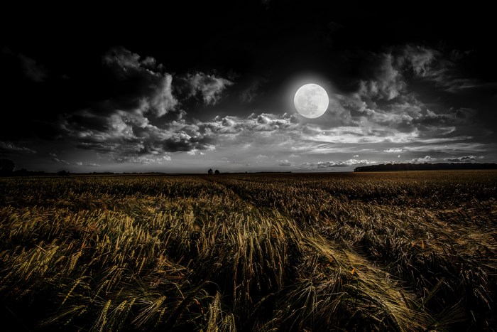 Full moon over a dark field at night