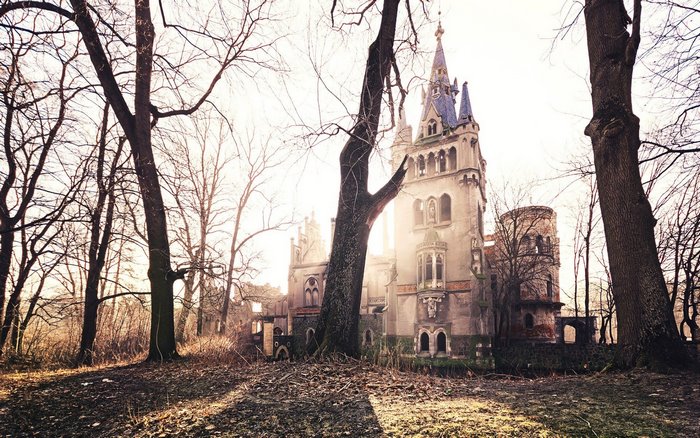 Abandoned gothic castle surrounded by trees