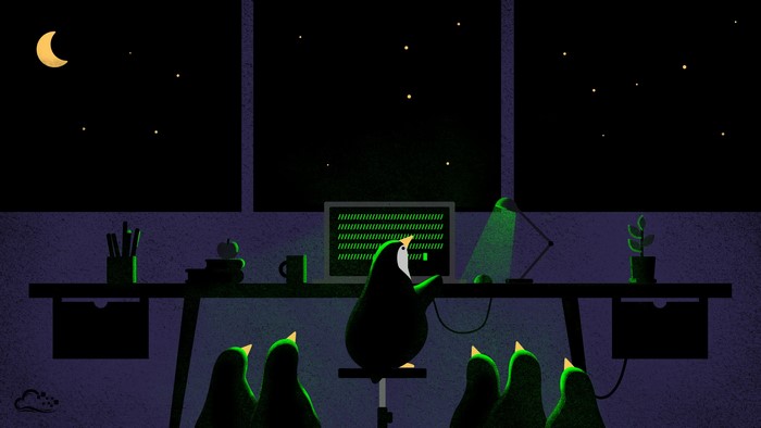 Penguins watching a computer at night