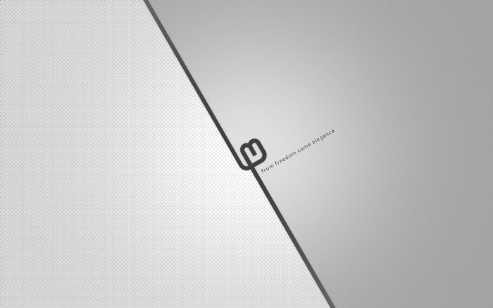Linux Mint logo with text "from freedom came elegance"