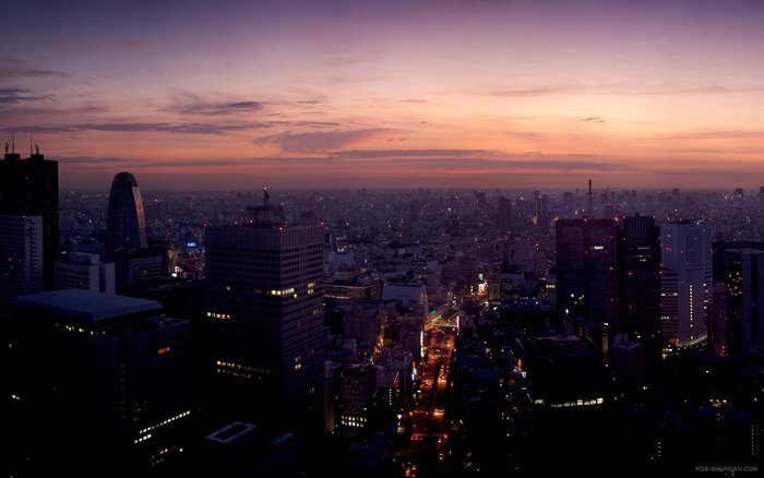 Cityscape of Tokyo at Dusk with City Lights
