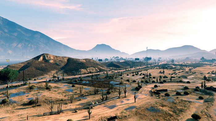 Desert landscape with mountains and cacti in Grand Theft Auto V