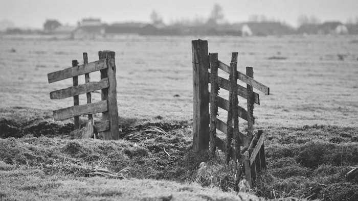 Dilapidated wooden fence in a barren field