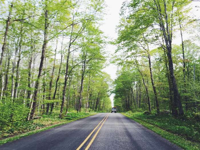 A car drives down a road through a forest