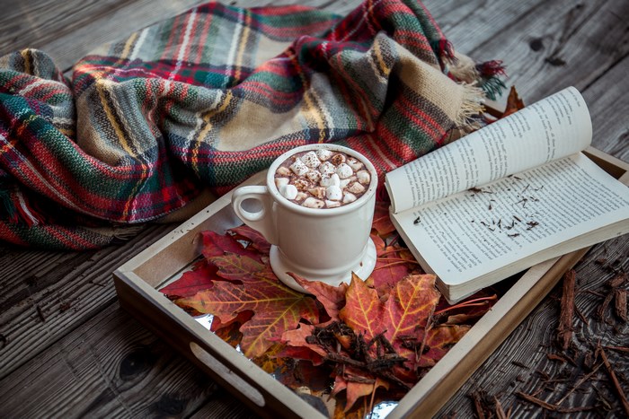 Cozy Autumn Scene with Hot Chocolate and Book