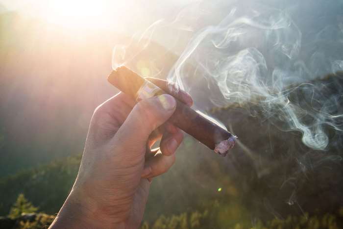 Hand holding a smoking cigar in sunlight