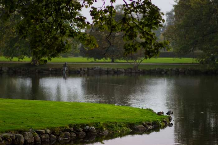 Castle lake garden with ducks