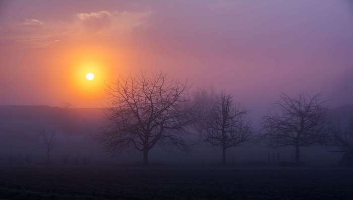 Sunrise over foggy landscape with bare trees