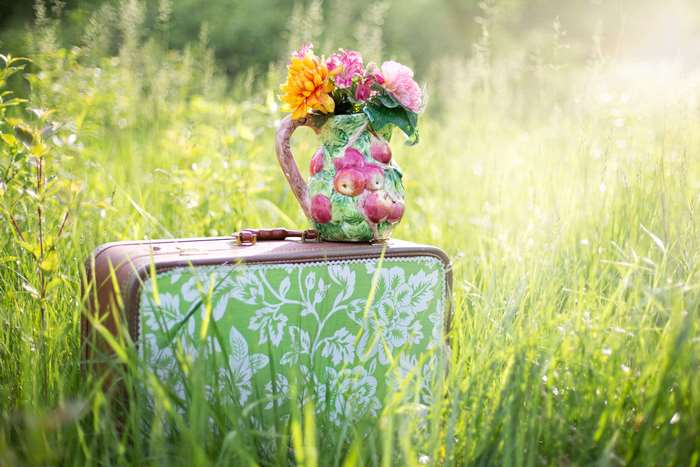 Pitcher of flowers on a suitcase in a grassy meadow