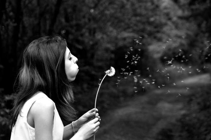 Girl blowing dandelion seeds in black and white