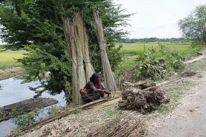 Woman worker with jute bundles by a canal in Bangladesh