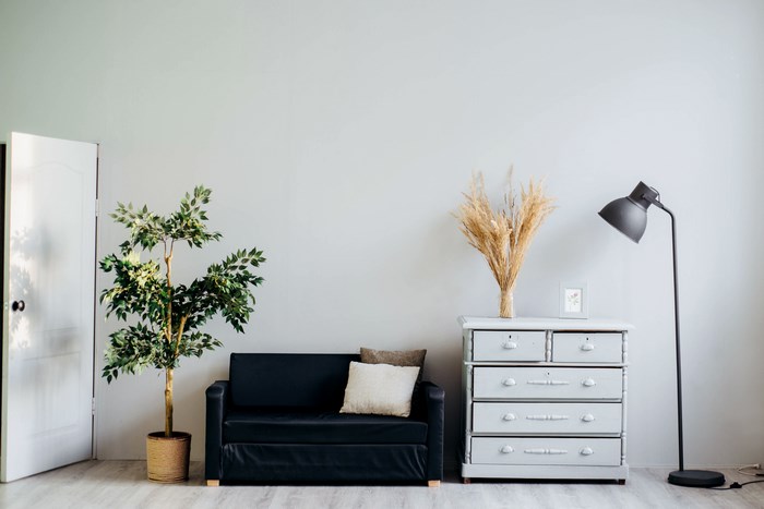 Minimalist room with sofa, plant, and dresser