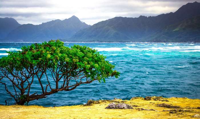 Hawaii landscape with ocean and mountains 4K