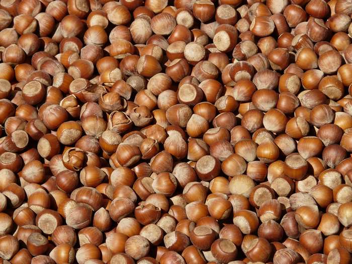 Pile of brown hazelnuts with shells