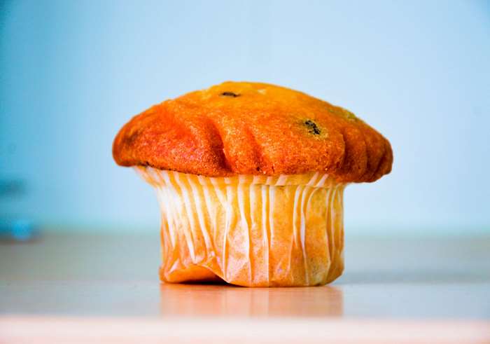 Muffin with blueberries on a table