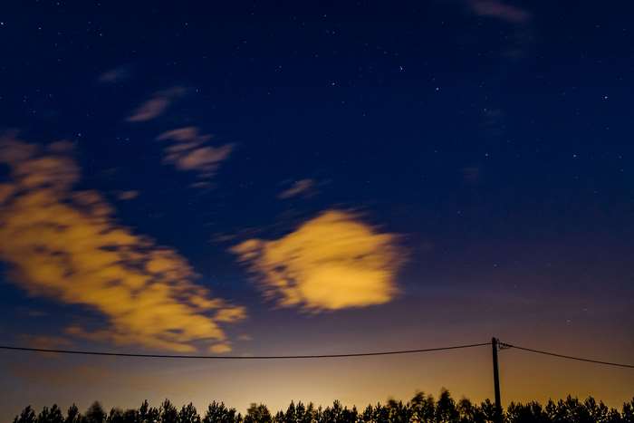 Night sky with glowing clouds and stars over trees