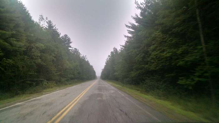Lonely Road Through Foggy Forest 4K