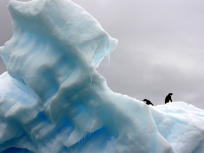 Penguins on a blue iceberg under a cloudy sky