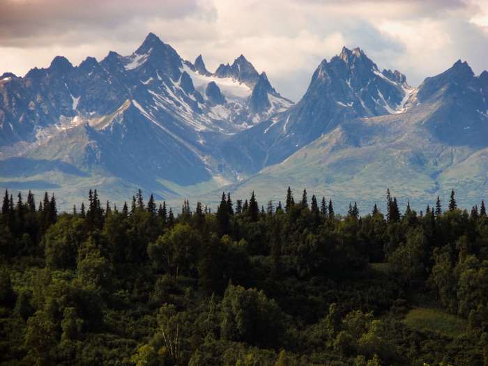 Snow-capped mountains over a dense forest in Alaska