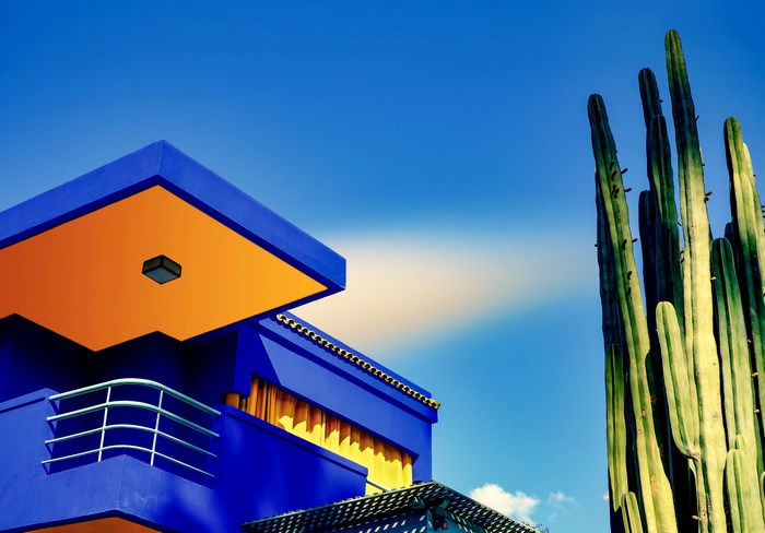 Majorelle Garden Blue House and Cactus