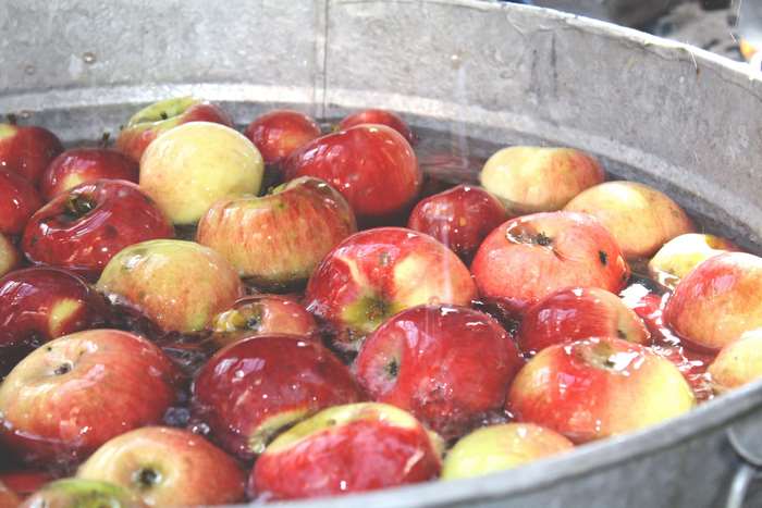 Apples floating in a tub