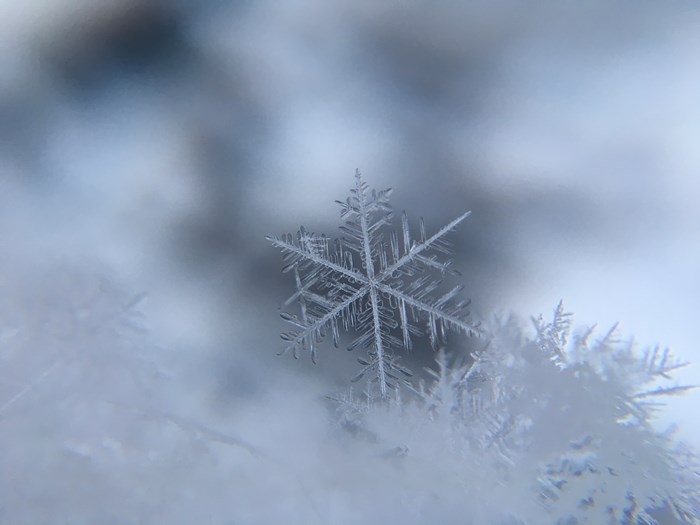 Close-up of a snowflake with blurry background