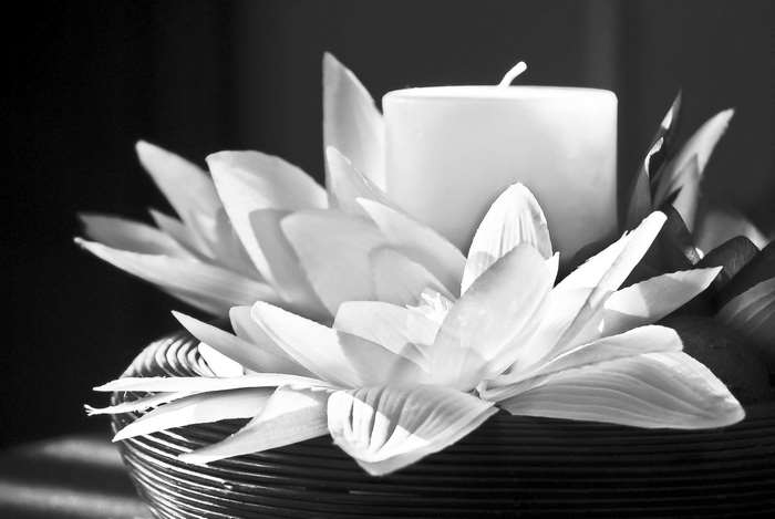 Black and white close-up of a candle in a lotus flower decoration