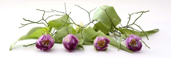 Purple Tulips with Green Leaves and Branches