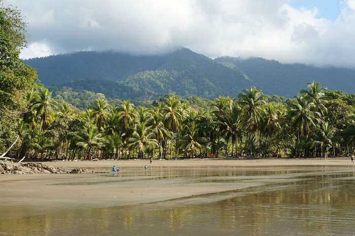 Beach with palm trees and mountains in Costa Rica