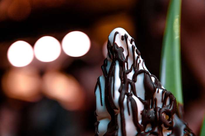 Ice cream with chocolate drizzle