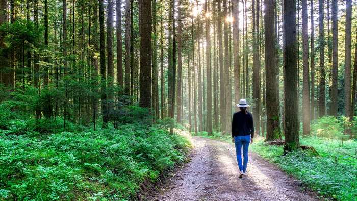 Woman walking on a forest path with sunlight filtering through trees
