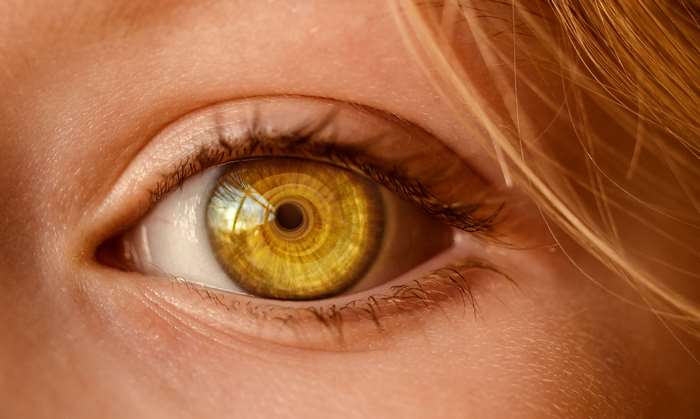 Close up of a human eye with golden iris