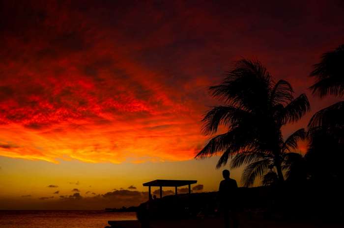 Silhouette of a person and palm trees at sunset in Curacao