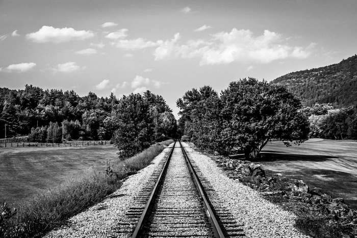 Black and White Train Tracks Through Trees 4K