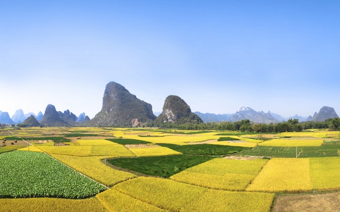 Karst landscape with rice paddies and mountains