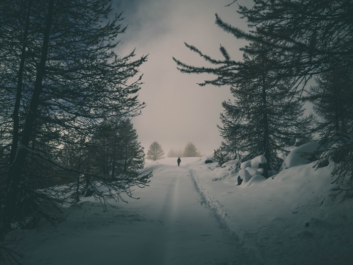 Lone walker on snowy forest path in winter
