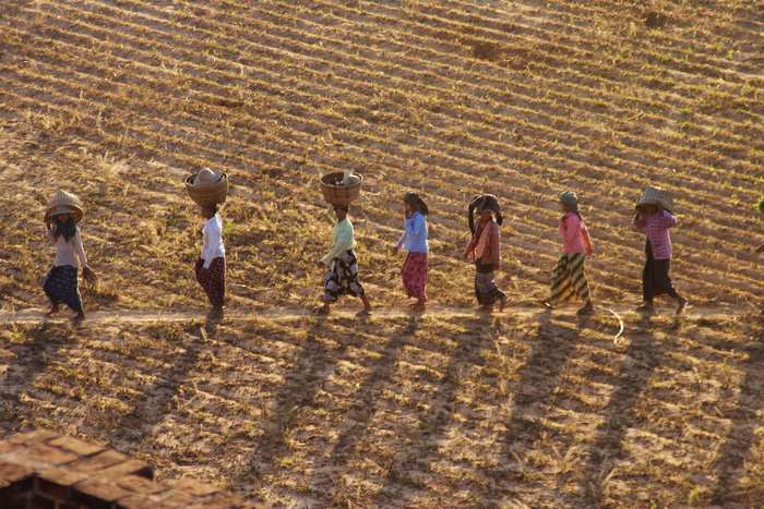 Women Walking Across a Field in Myanmar
