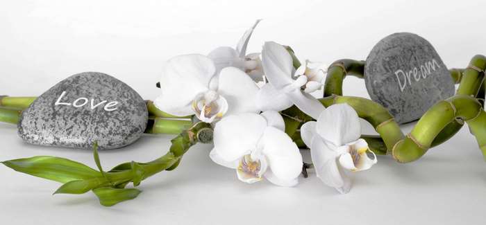 Lucky Bamboo with Orchids and Stones 'Love' and 'Dream'