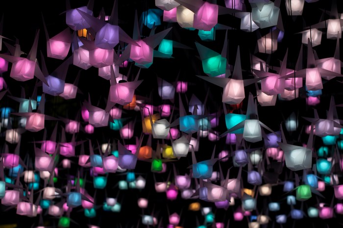 Colorful origami paper cranes illuminated at night