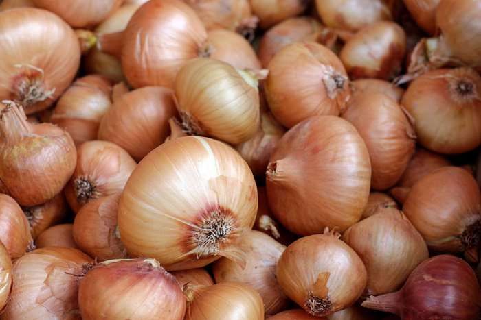 Pile of fresh yellow onions