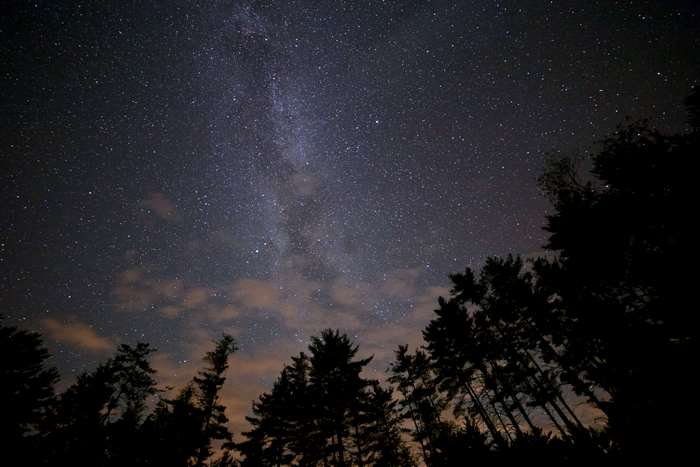 Milky Way Galaxy over Silhouetted Forest at Night