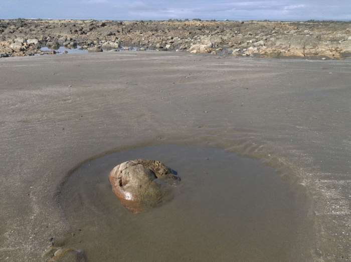 A lone rock sits in a tide pool on a sandy beach