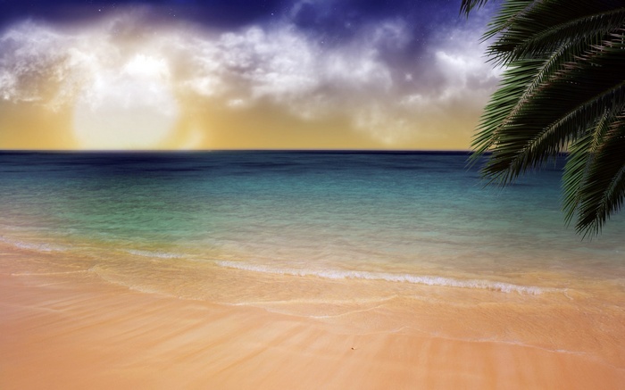 Tropical beach at sunset with palm tree