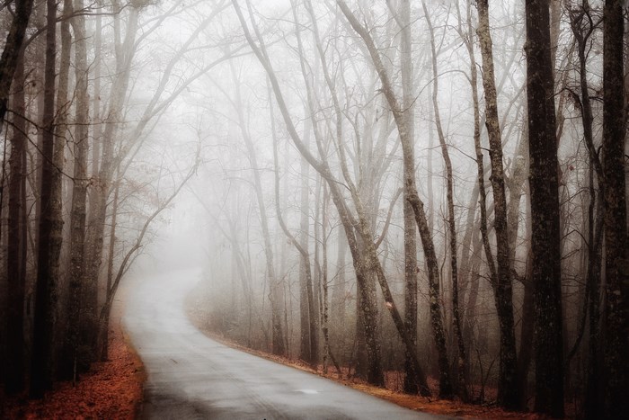 Winding road through a foggy forest in autumn