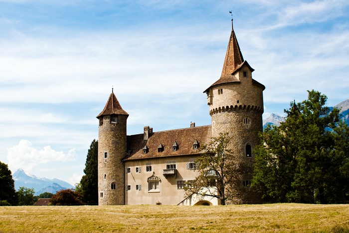Castle with towers and conical roofs in a field