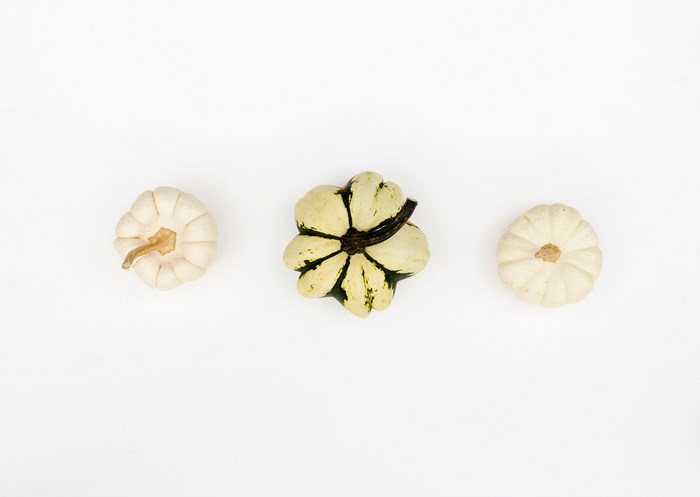 Three pumpkins on a white background