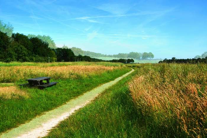 Path through a sunny meadow with a picnic table