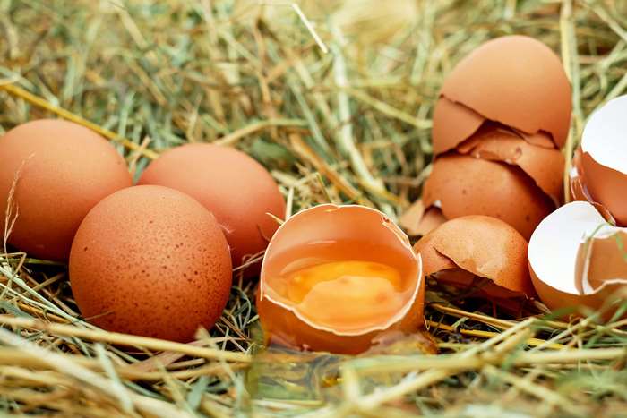 Brown eggs and cracked eggshells in hay
