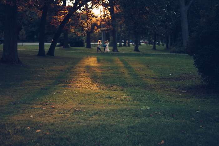 People walking in a park at sunset
